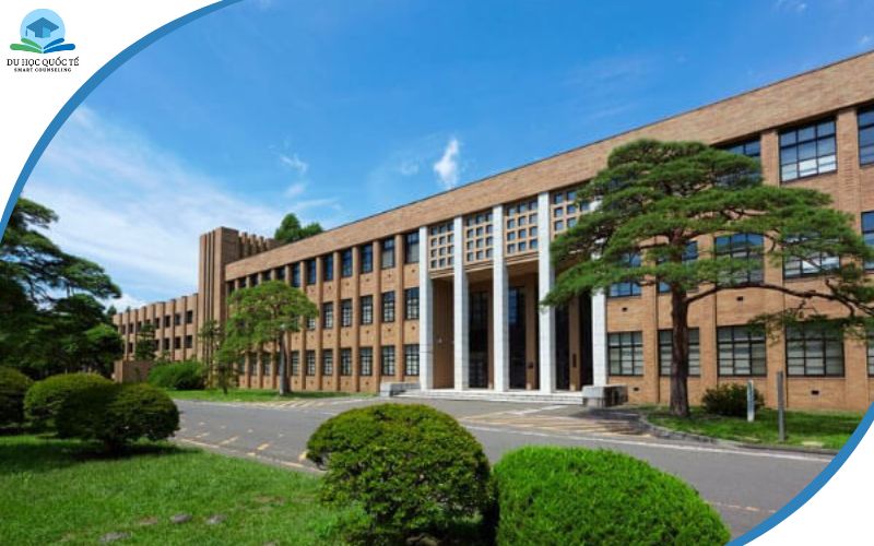 trường đại học Nhật Bản Tohoku 