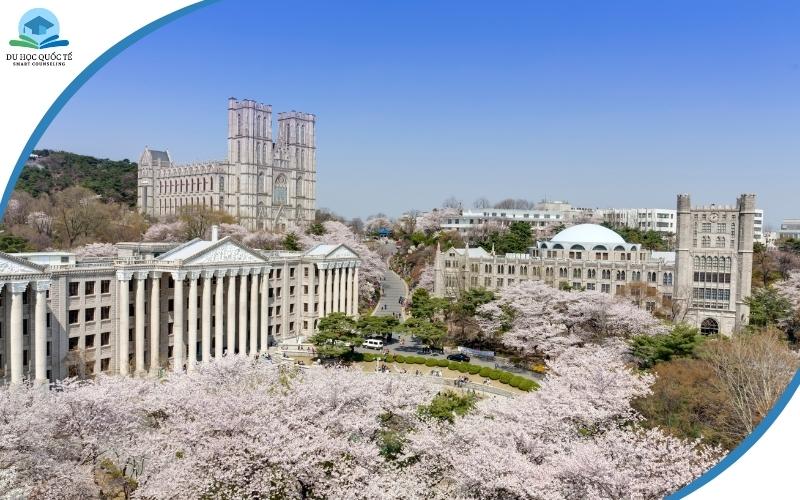 Tổng hợp các trường đại học ở Hàn Quốc hàng đầu hiện nay