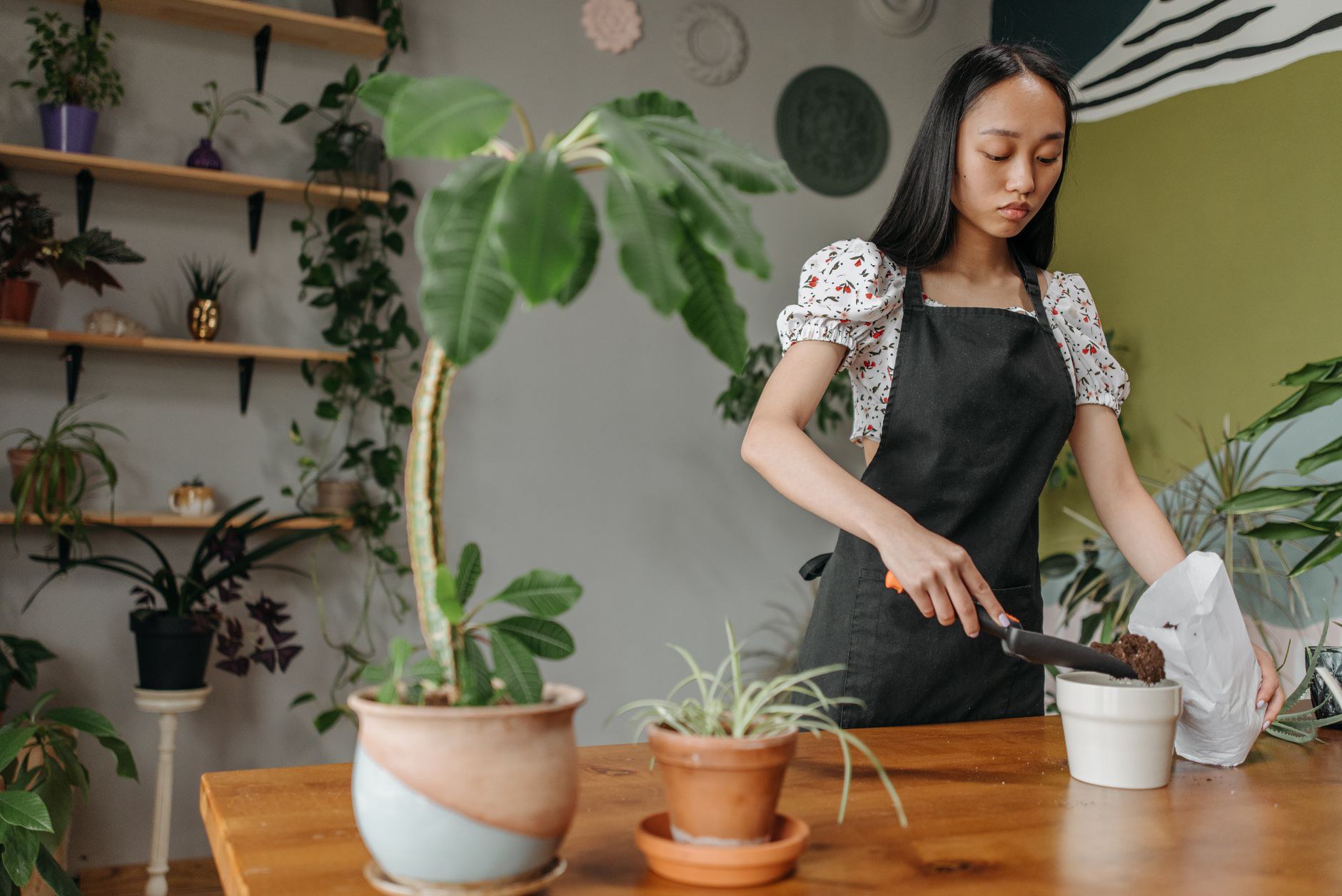 May tạp dề theo yêu cầu cho sinh viên du học ngành ẩm thực